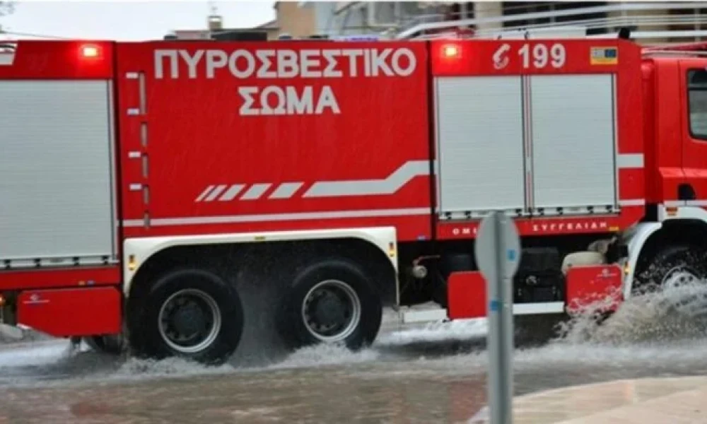 Ρόδος: Ζωντανά κάηκαν 4 κυνηγόσκυλα σε πυρκαγιά